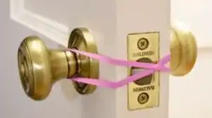 886e54e0-6a49-4835-bbbc-0c5f315c358b