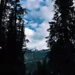 Lake Twentytwo - Looking Through a Clearing to the mountains