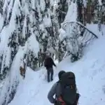 Hiking snowy Lake Twentytwo