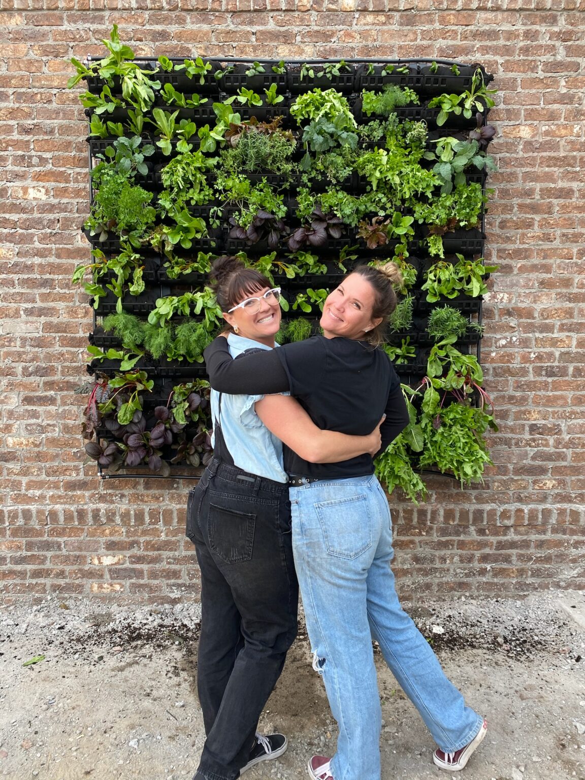 Spring Cleaning Lamb & Co.